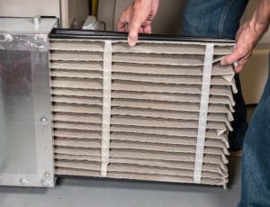 filter furnace check
