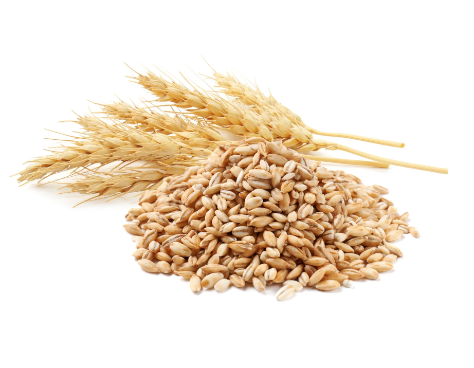 grain needs Agricultural boiler maintenance